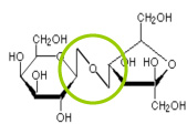 molecule